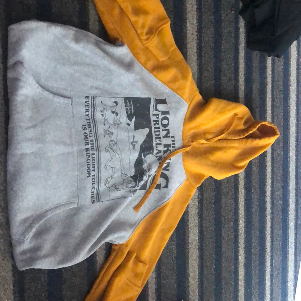 Lion King hoodie